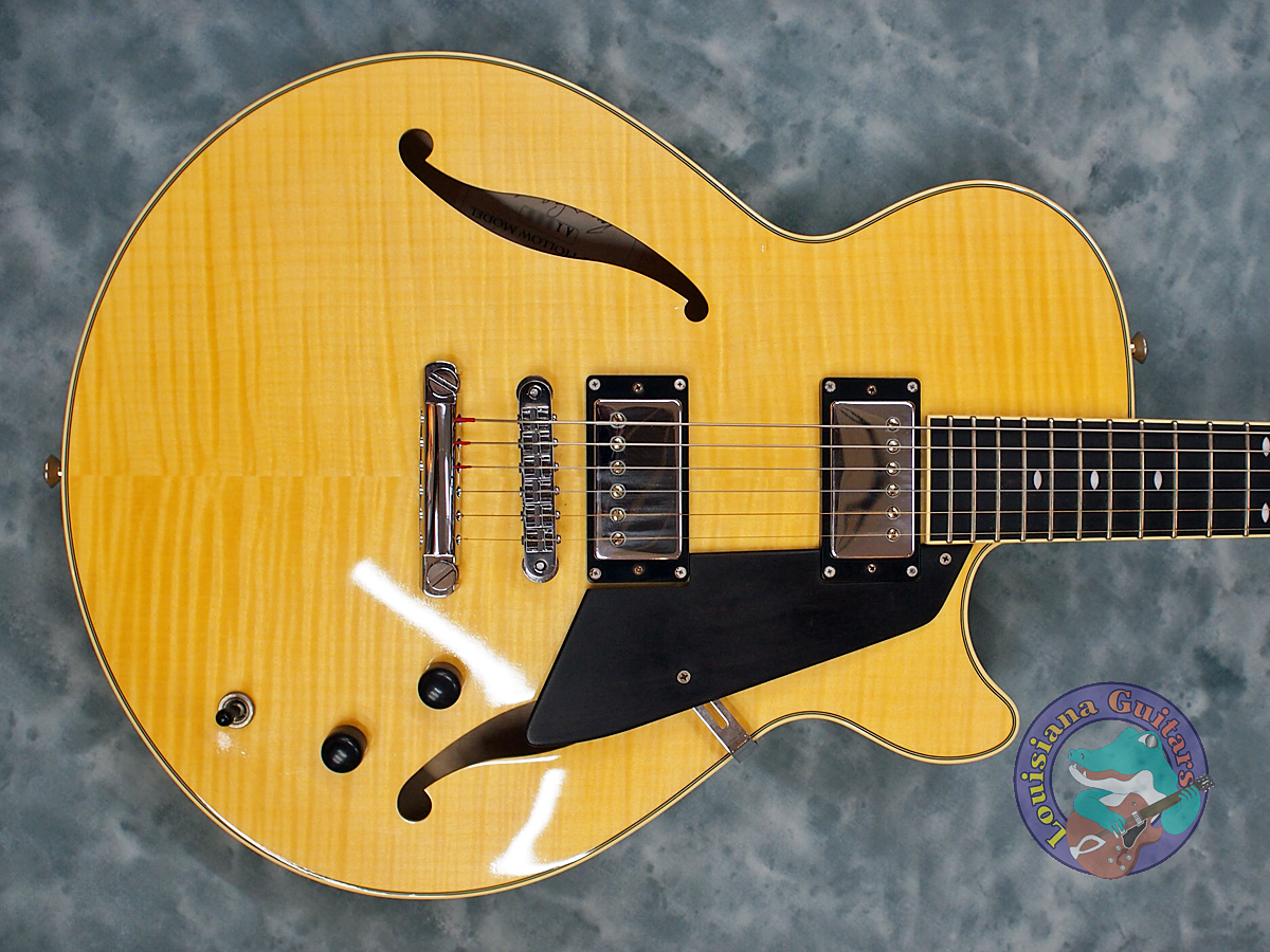 Sadowsky Semi-Hollow Model (2021)